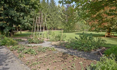 Gartengestaltung mit Gärtner Service aus Mülheim-Kärlich