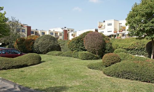 Gartengestaltung mit Gärtner Service aus Mülheim-Kärlich