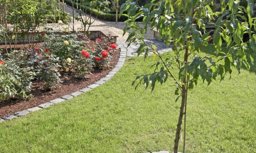 Gartengestaltung mit Gärtner Service aus Mülheim-Kärlich