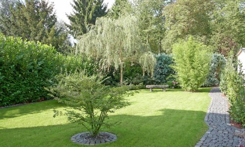 Gartengestaltung mit Gärtner Service aus Mülheim-Kärlich
