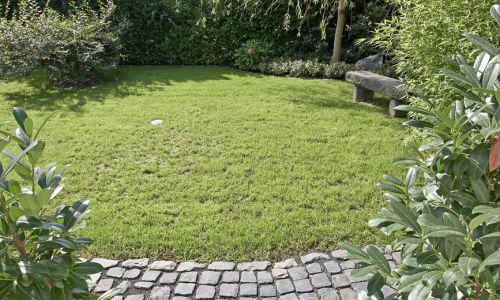 Gartengestaltung mit Gärtner Service aus Mülheim-Kärlich